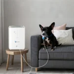 Pet Friendly Oxygen Concentrator, 1-7L/min Adjustable Oxygen Machine for Your Furry Friends
