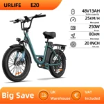 E20 Adult E-bike 250W Motor Electric Bicycle 48V 13Ah Battery Commute Electric Bike 20-inch Fat Tire city ebike